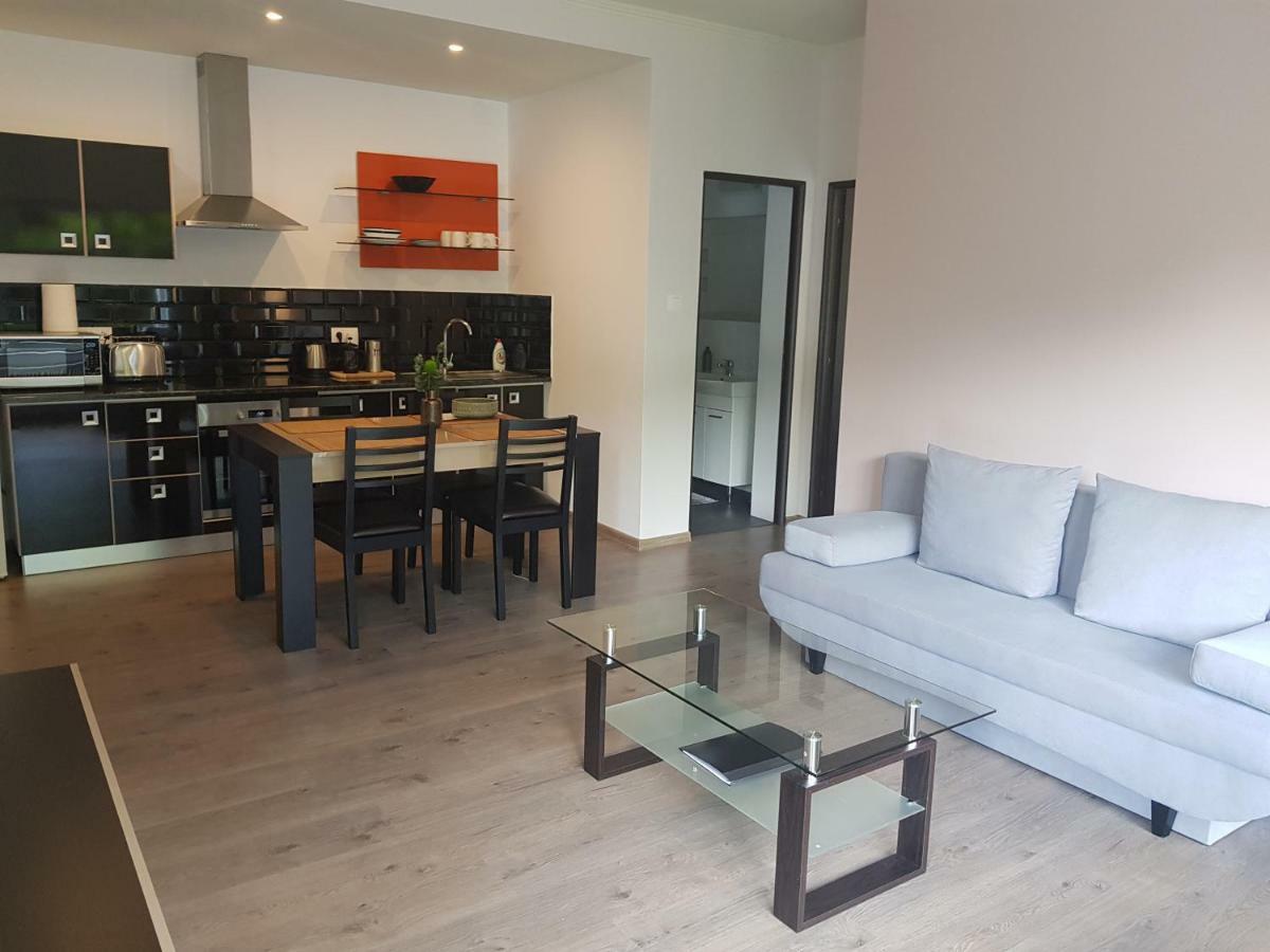 Luxury Modern Apartments Baia Mare Exterior foto