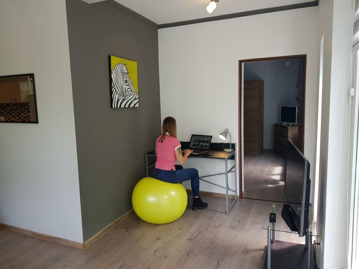 Luxury Modern Apartments Baia Mare Exterior foto